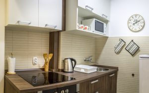 Apartman Downtown | Kuhinja